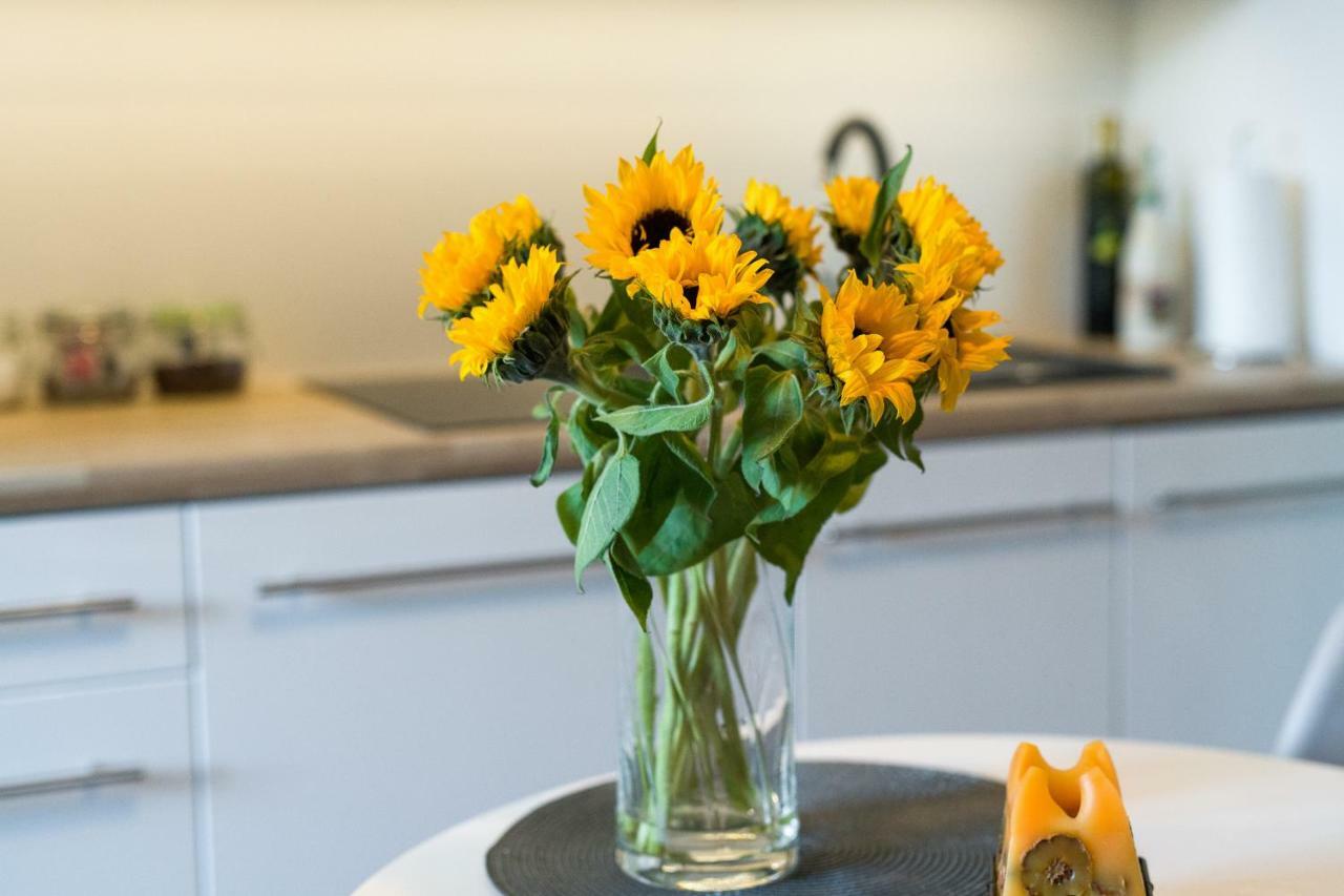 Sunflower * Краків